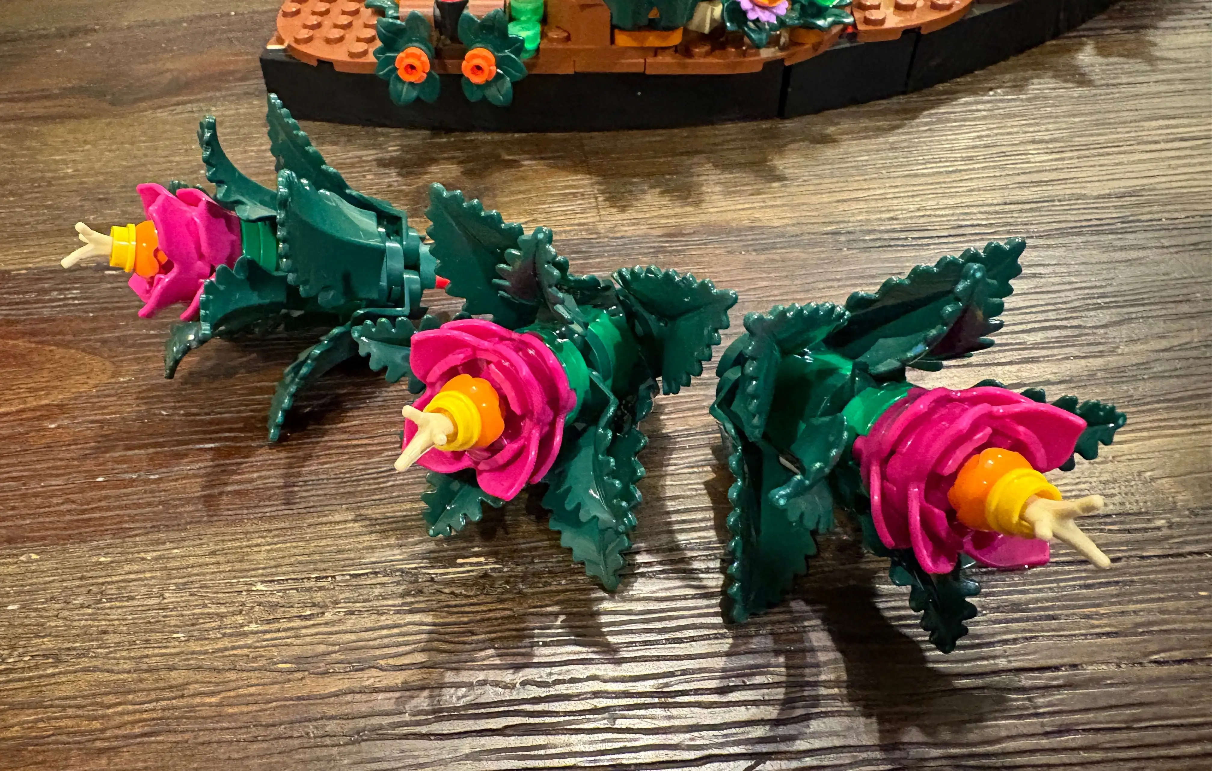 柔亚主场再,战大乐透期,专家质合分,世界杯买球,2026世界杯投注,买球策略,最新赔率,体育竞猜